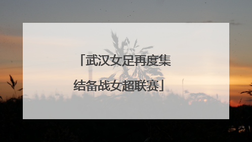 武汉女足再度集结备战女超联赛