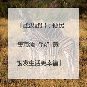 武汉武昌：便民集市添“绿”意 银发生活更幸福