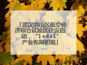 武汉洪山区低空经济综合试验区建设启动，“1+4+1”产业布局初现