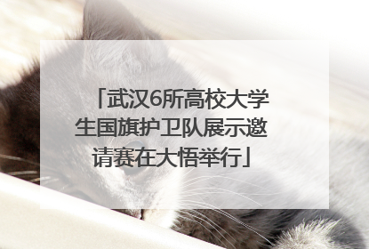 武汉6所高校大学生国旗护卫队展示邀请赛在大悟举行