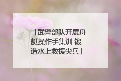 武警部队开展舟艇操作手集训 锻造水上救援尖兵