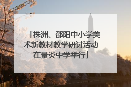 株洲、邵阳中小学美术新教材教学研讨活动在景炎中学举行