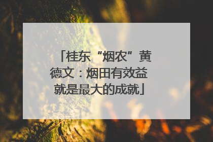 桂东“烟农”黄德文：烟田有效益就是最大的成就