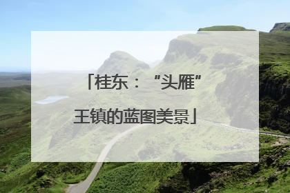 桂东：“头雁”王镇的蓝图美景