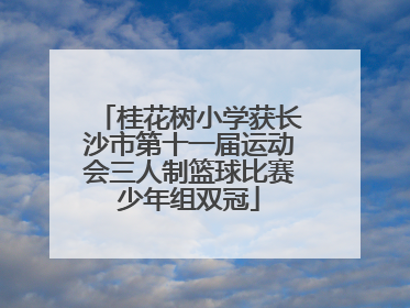 桂花树小学获长沙市第十一届运动会三人制篮球比赛少年组双冠