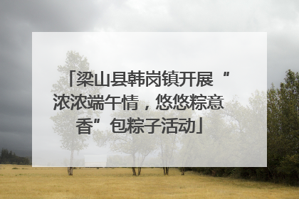 梁山县韩岗镇开展“浓浓端午情，悠悠粽意香”包粽子活动