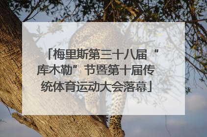 梅里斯第三十八届“库木勒”节暨第十届传统体育运动大会落幕