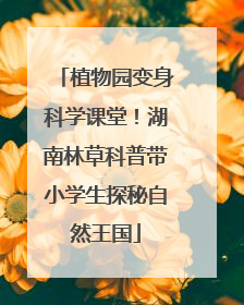 植物园变身科学课堂！湖南林草科普带小学生探秘自然王国