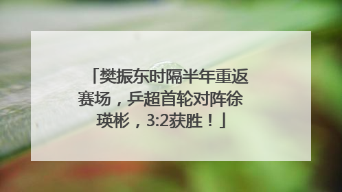 樊振东时隔半年重返赛场，乒超首轮对阵徐瑛彬，3:2获胜！