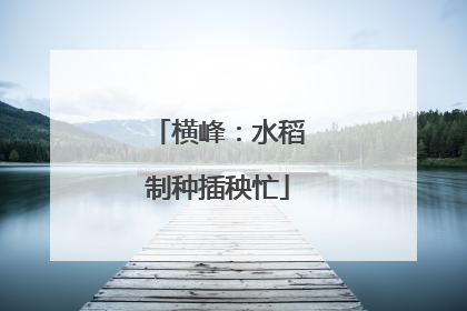 横峰：水稻制种插秧忙