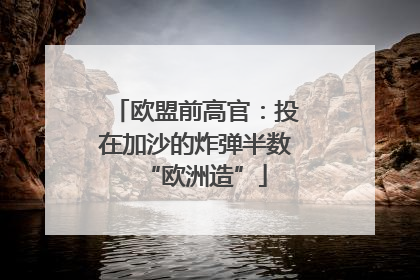 欧盟前高官：投在加沙的炸弹半数“欧洲造”