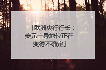 欧洲央行行长：美元主导地位正在变得不确定
