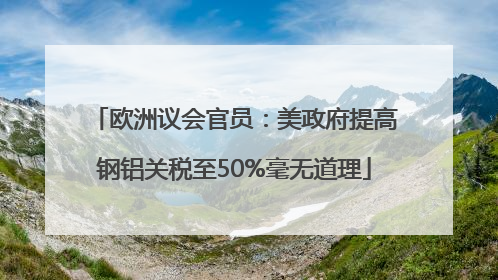 欧洲议会官员：美政府提高钢铝关税至50%毫无道理