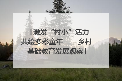 激发“村小”活力 共绘多彩童年——乡村基础教育发展观察