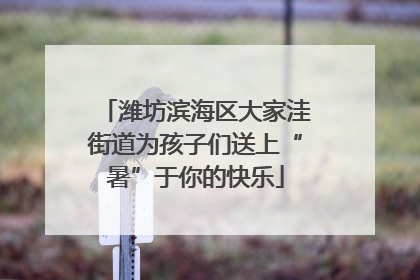 潍坊滨海区大家洼街道为孩子们送上“暑”于你的快乐