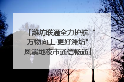 潍坊联通全力护航“万物向上·更好潍坊”凤溪地夜市通信畅通