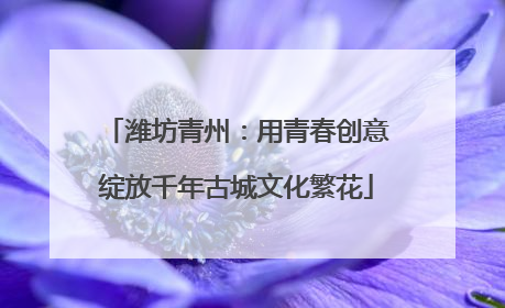 潍坊青州：用青春创意绽放千年古城文化繁花