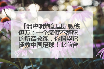 潘粤明炮轰国足教练伊万：一个装傻不辞职的所谓教练，你指望它拯救中国足球！此前曾多次发文评价国足