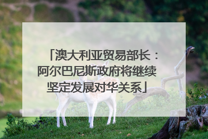 澳大利亚贸易部长：阿尔巴尼斯政府将继续坚定发展对华关系