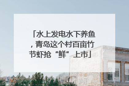 水上发电水下养鱼，青岛这个村百亩竹节虾抢“鲜”上市