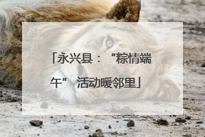 永兴县：“粽情端午” 活动暖邻里