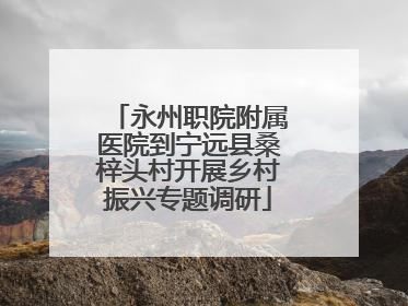 永州职院附属医院到宁远县桑梓头村开展乡村振兴专题调研