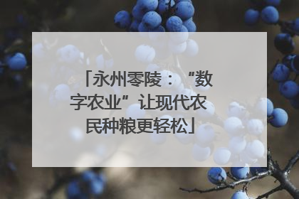 永州零陵：“数字农业”让现代农民种粮更轻松