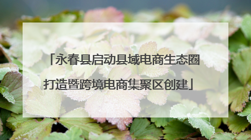 永春县启动县域电商生态圈打造暨跨境电商集聚区创建