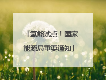 氢能试点！国家能源局重要通知