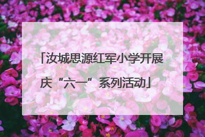 汝城思源红军小学开展庆“六一”系列活动