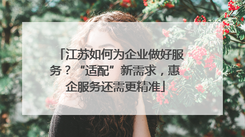 江苏如何为企业做好服务？“适配”新需求，惠企服务还需更精准