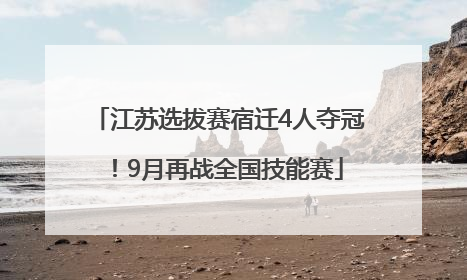 江苏选拔赛宿迁4人夺冠！9月再战全国技能赛