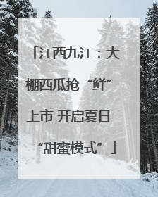 江西九江：大棚西瓜抢“鲜”上市 开启夏日“甜蜜模式”