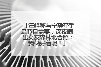 汪峰称与宁静牵手是节目需要，深夜晒出女友森林北合照：我俩好着呢！