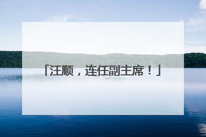 汪顺，连任副主席！