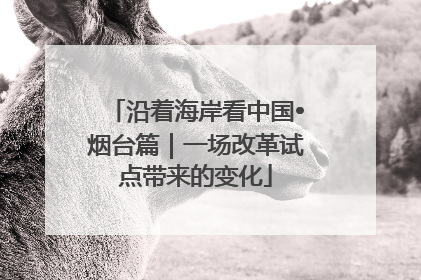 沿着海岸看中国•烟台篇｜一场改革试点带来的变化
