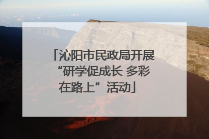沁阳市民政局开展“研学促成长 多彩在路上”活动