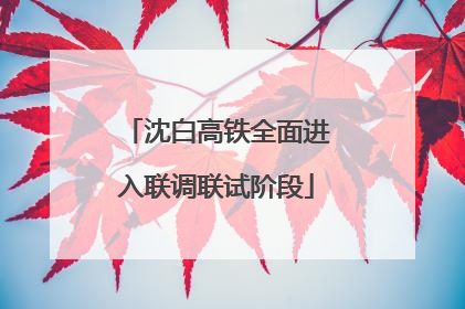 沈白高铁全面进入联调联试阶段