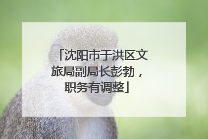 沈阳市于洪区文旅局副局长彭勃，职务有调整