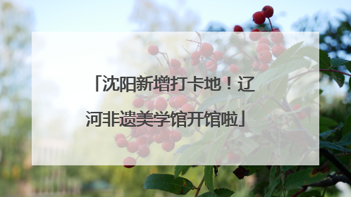 沈阳新增打卡地！辽河非遗美学馆开馆啦