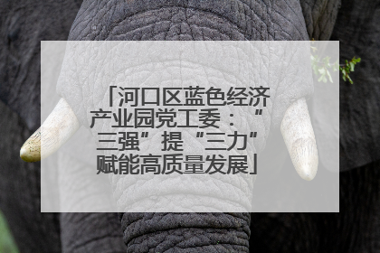 河口区蓝色经济产业园党工委：“三强”提“三力”赋能高质量发展