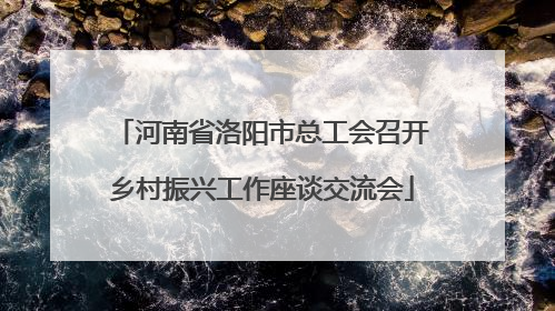 河南省洛阳市总工会召开乡村振兴工作座谈交流会
