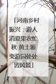 河南乡村振兴：游人消夏果农忙秋 黄土塬变游园处处皆风景