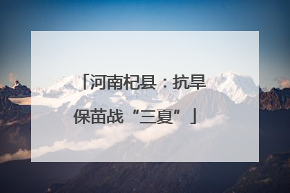 河南杞县：抗旱保苗战“三夏”