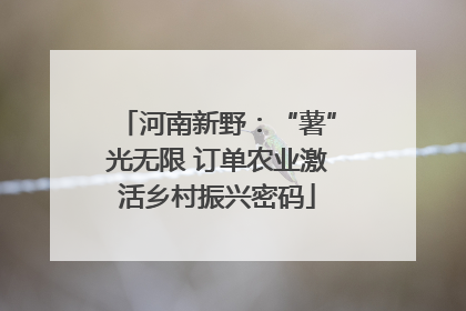 河南新野：“薯”光无限 订单农业激活乡村振兴密码