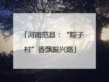 河南范县：“粽子村”香飘振兴路