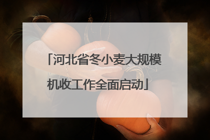 河北省冬小麦大规模机收工作全面启动