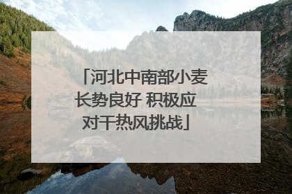 河北中南部小麦长势良好 积极应对干热风挑战