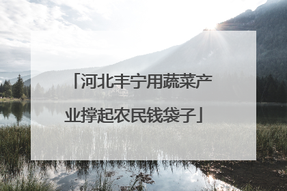 河北丰宁用蔬菜产业撑起农民钱袋子