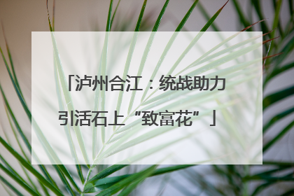 泸州合江：统战助力引活石上“致富花”